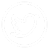 social media icon